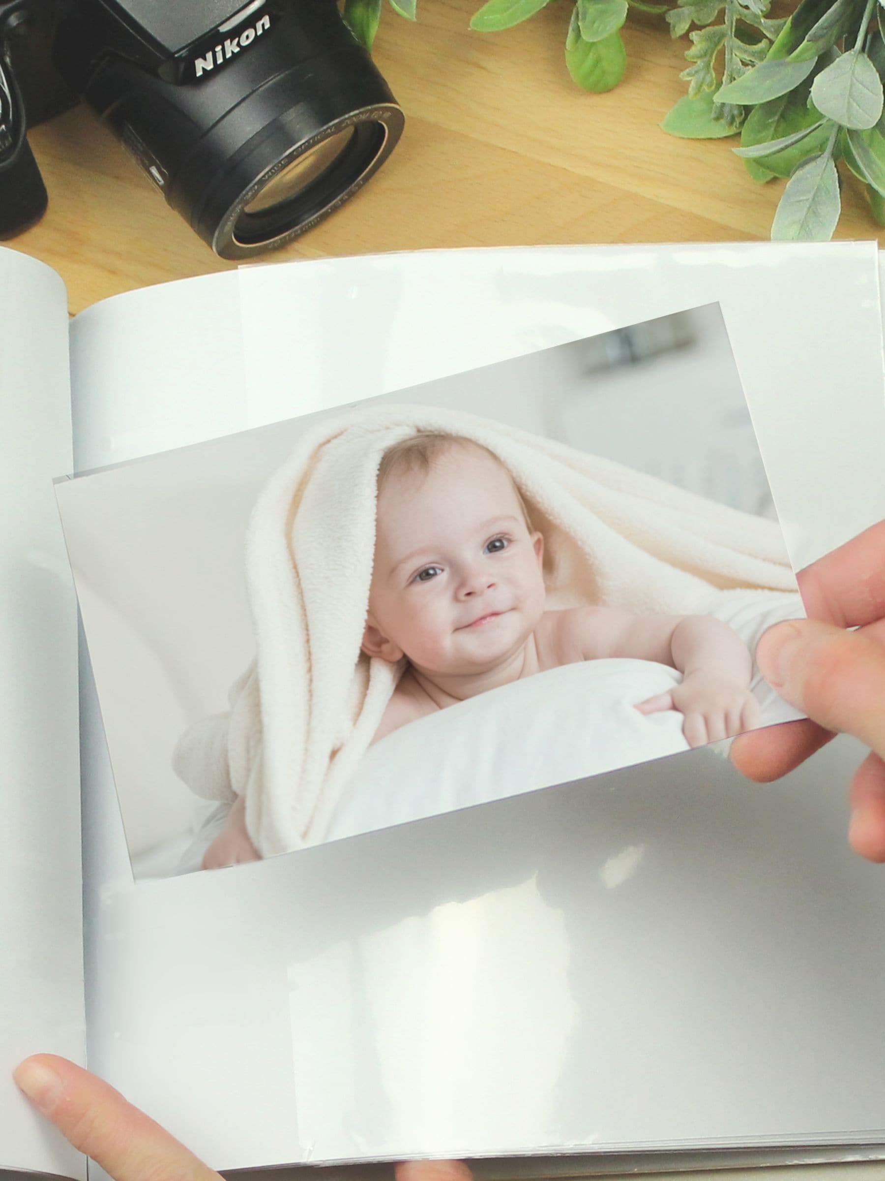PMC Zoo Animals photo album (British brand)