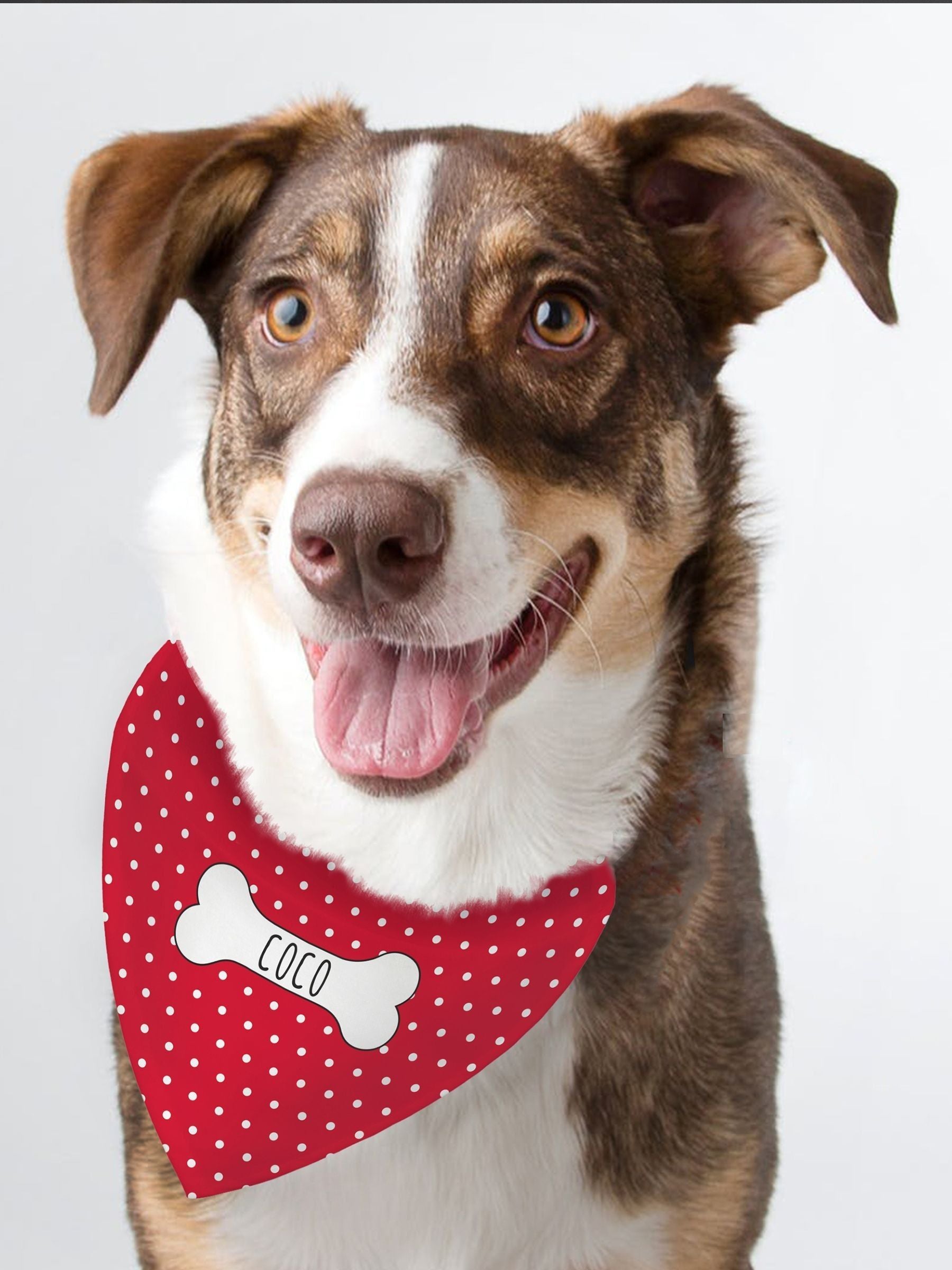 PMC personalised polka dot dog bandana, adjustable strap - British product