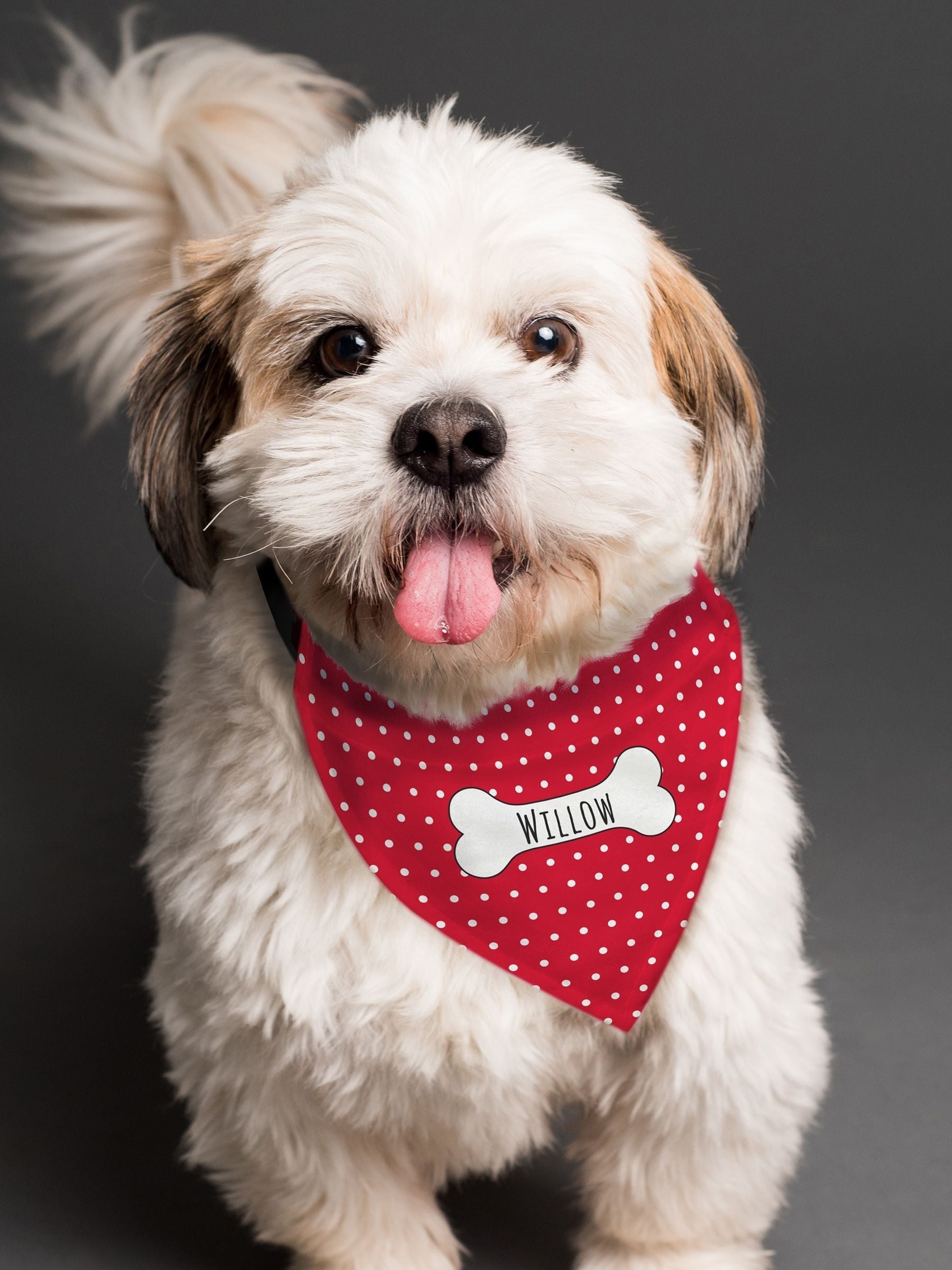 PMC personalised polka dot dog bandana, adjustable strap - British product