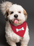 PMC personalised polka dot dog bandana, adjustable strap - British product