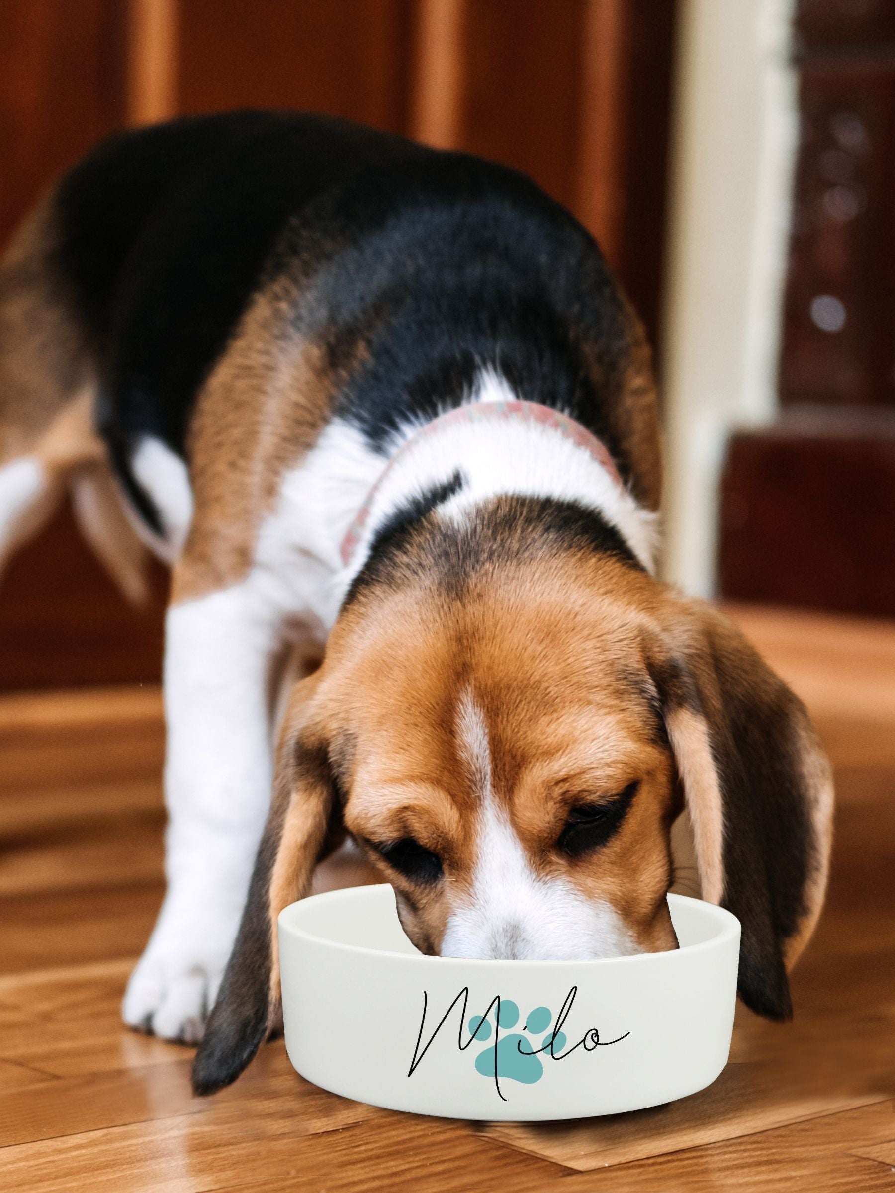 PMC personalised ceramic dog bowl 14cm, imported from the UK