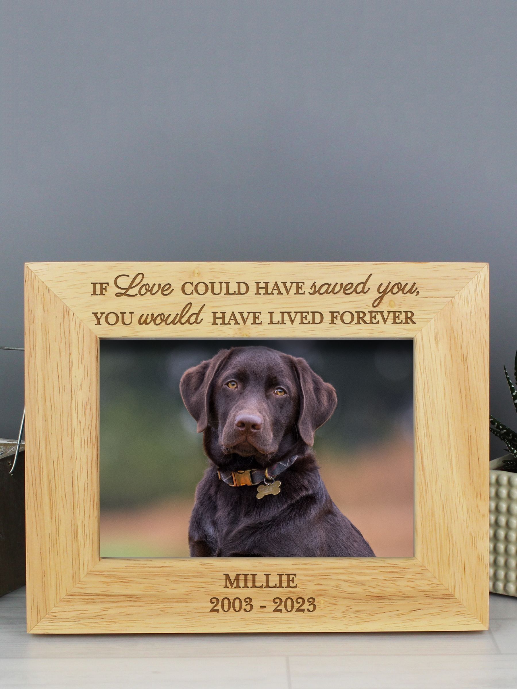 PMC personalised pet memorial 6x4 photo frame, imported from the UK