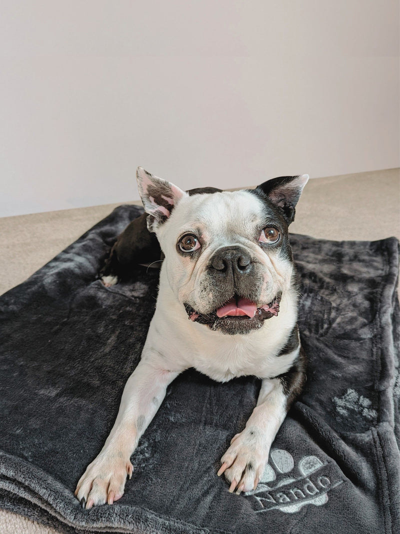 RUFF Personalised Pampered Pup Plush Blanket