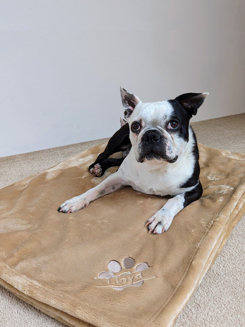 RUFF Personalised Pampered Pup Plush Blanket