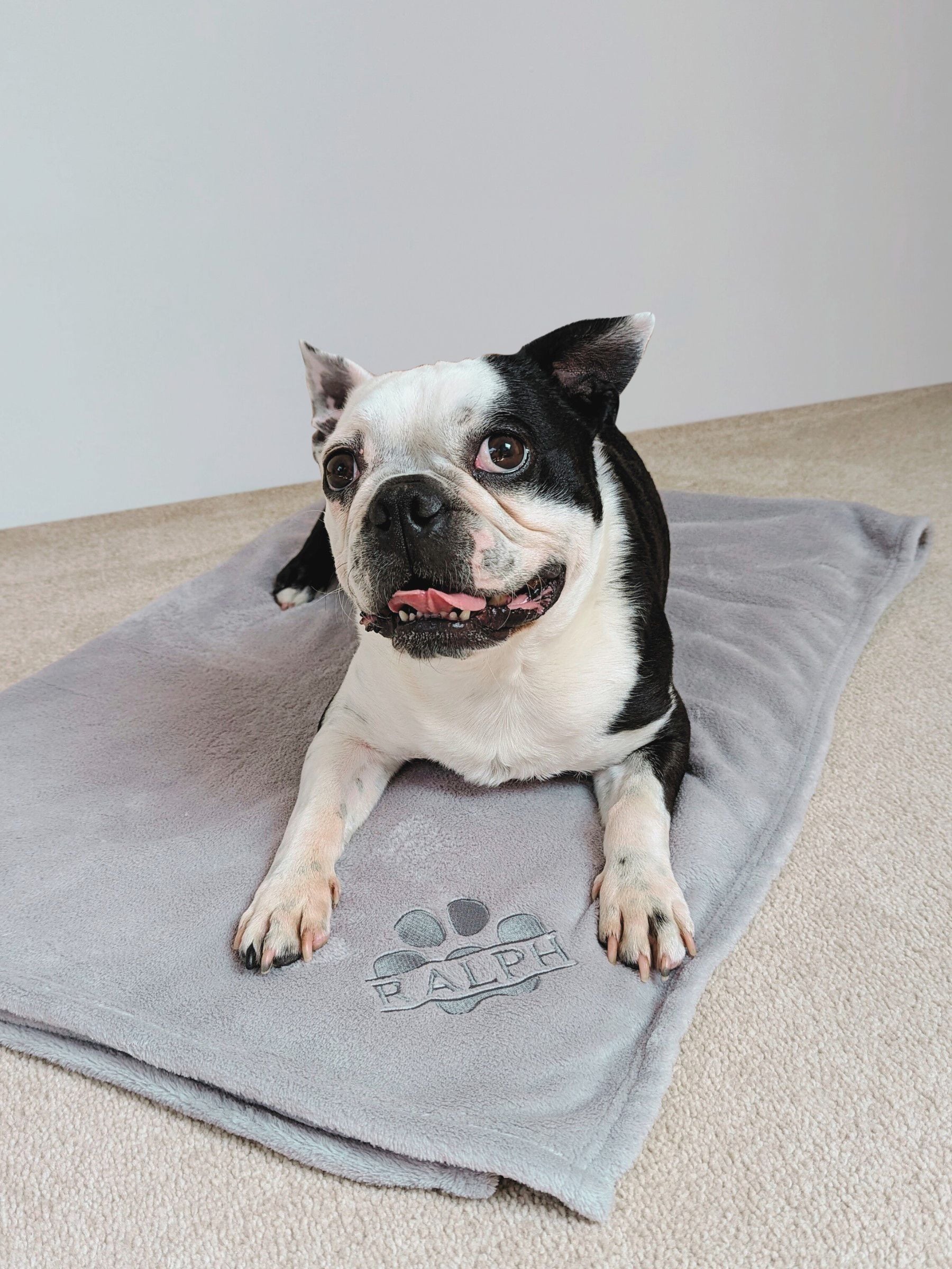 RUFF Personalised Pampered Pup Plush Blanket