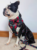 RUFF Balloon Pawty dog harness, UK version
