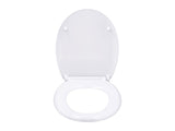 Patterned toilet seat with soft close mechanism (British brand)