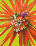 Floral Street Electric Rhubarb Eau de Parfum 50ml - British product
