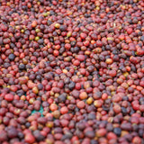 Whittard Ethiopia Yirgacheffe light roast coffee - British product