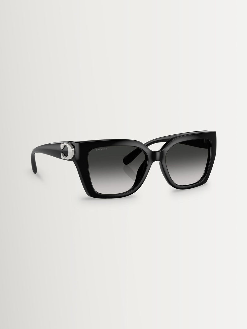 Coach black square sunglasses HC8408U - British product