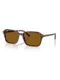 Ray-Ban brown square sunglasses in acetate frame, imported from the UK