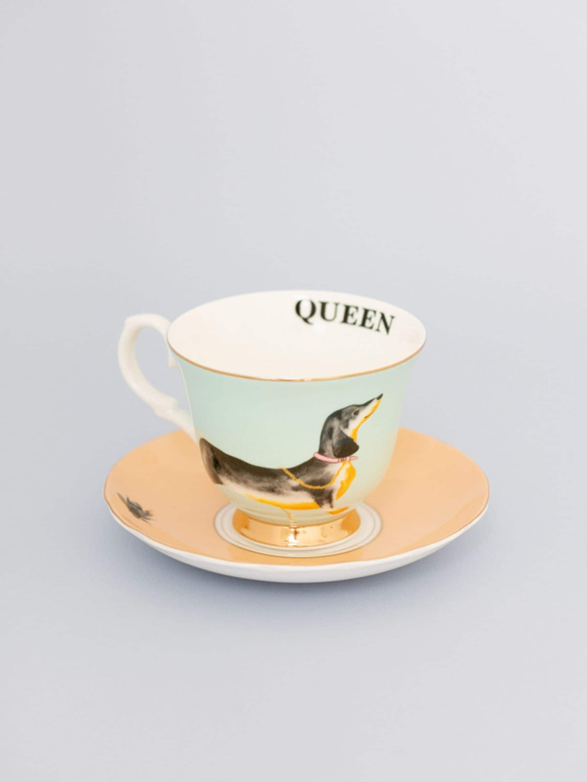 Yvonne Ellen Multi Doggie teacup and saucer set (British brand)