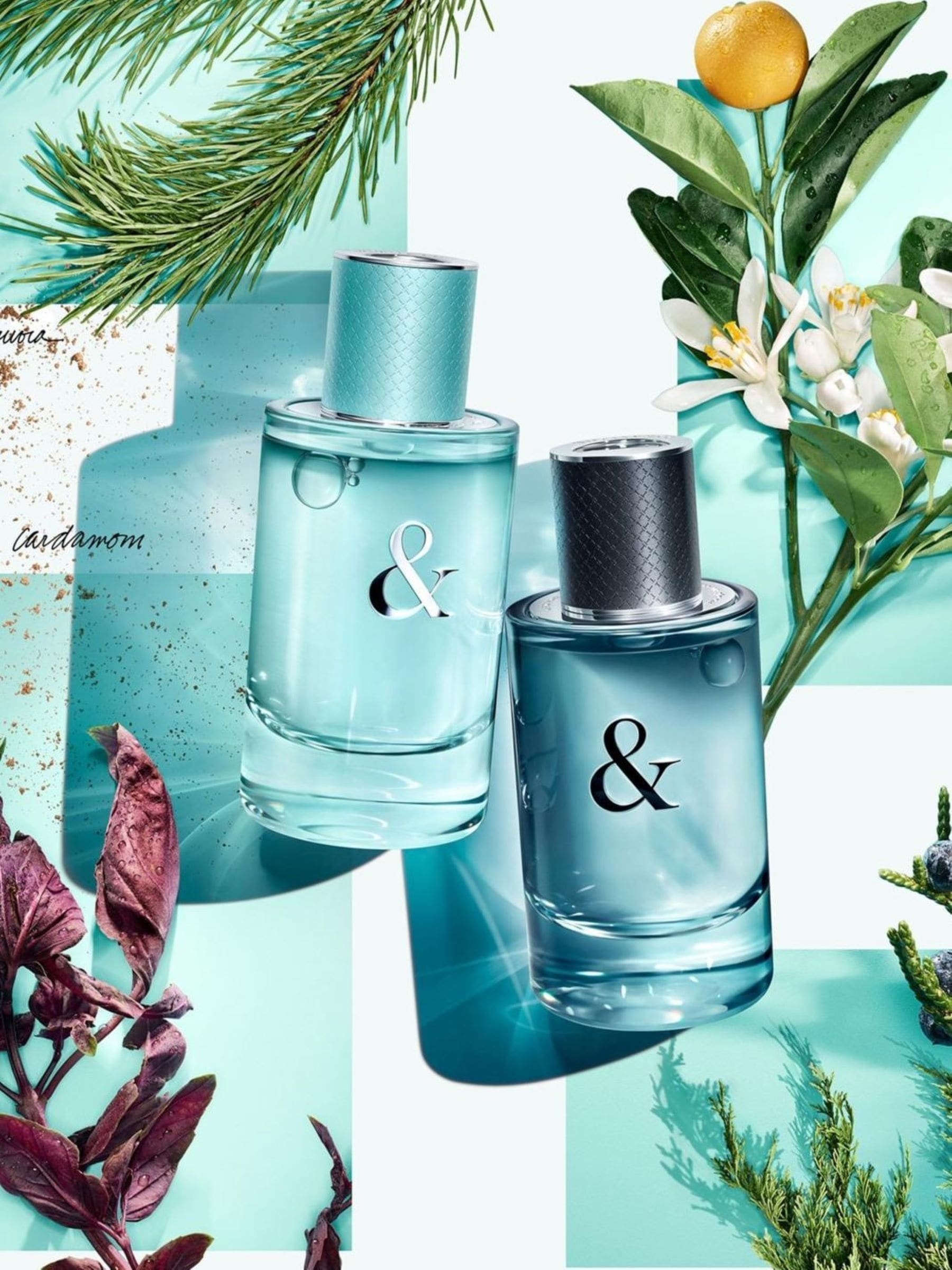 Tiffany Love for Her Eau de Parfum 50ml (British brand)