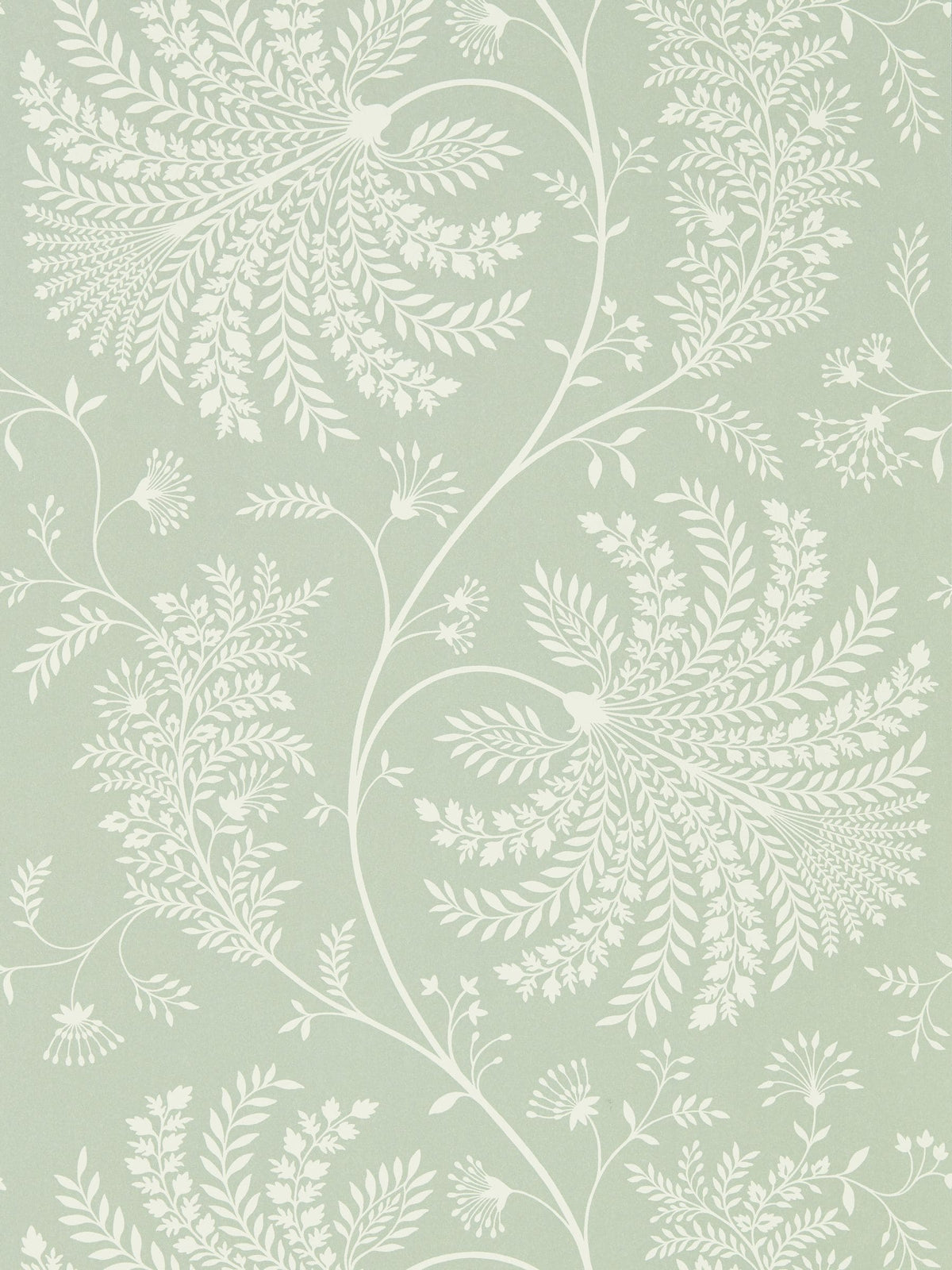 Sanderson wallpaper sample Sage Cream Mapperton, imported from the UK