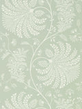 Sanderson wallpaper sample Sage Cream Mapperton, imported from the UK