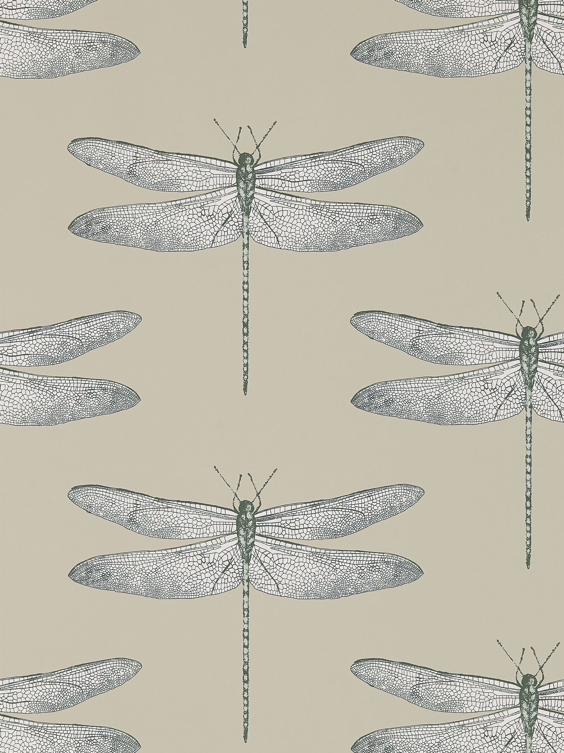 Harlequin Demoiselle wallpaper sample with dragonfly motif - British product