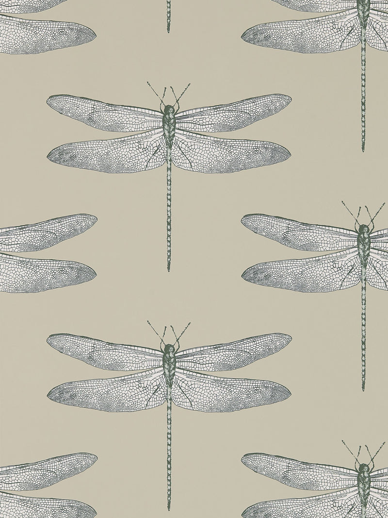Harlequin Demoiselle wallpaper sample with dragonfly motif - British product