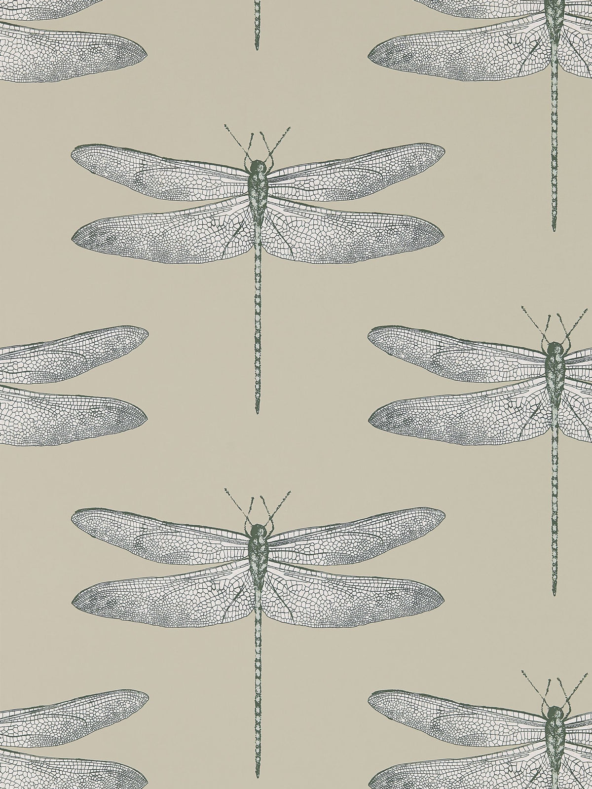 Harlequin Demoiselle wallpaper sample with dragonfly motif - British product