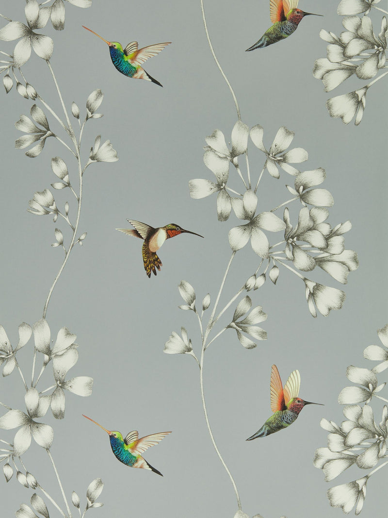Harlequin wallpaper sample French Grey Stone Amazilia (British brand)