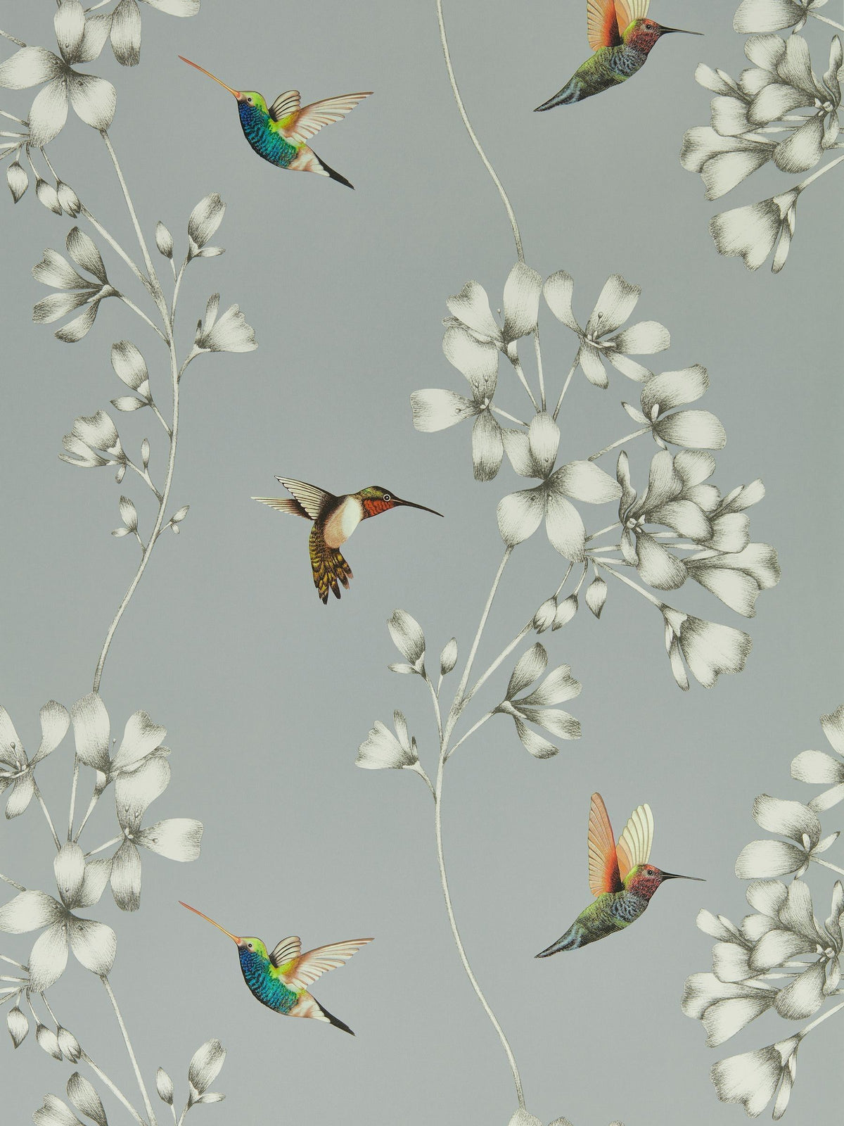 Harlequin wallpaper sample French Grey Stone Amazilia (British brand)