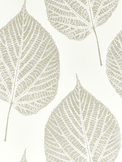 Next Harlequin Chalk Silver Leaf Wallpaper Sample- Buy online at McGrocer