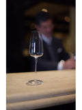 Luigi Bormioli Grey Talismano Flute Glasses Set of 6