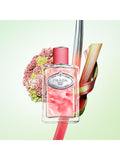 Prada Infusion Rhubarbe Eau de Parfum 100ml, imported from the UK