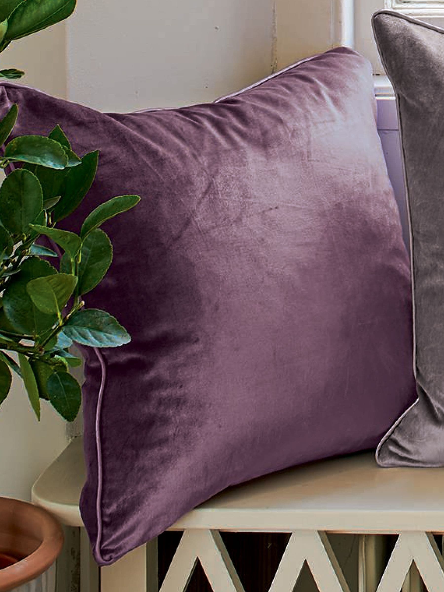 Laura Ashley Natural Oyster Nigella Cushion 50cm x 50cm