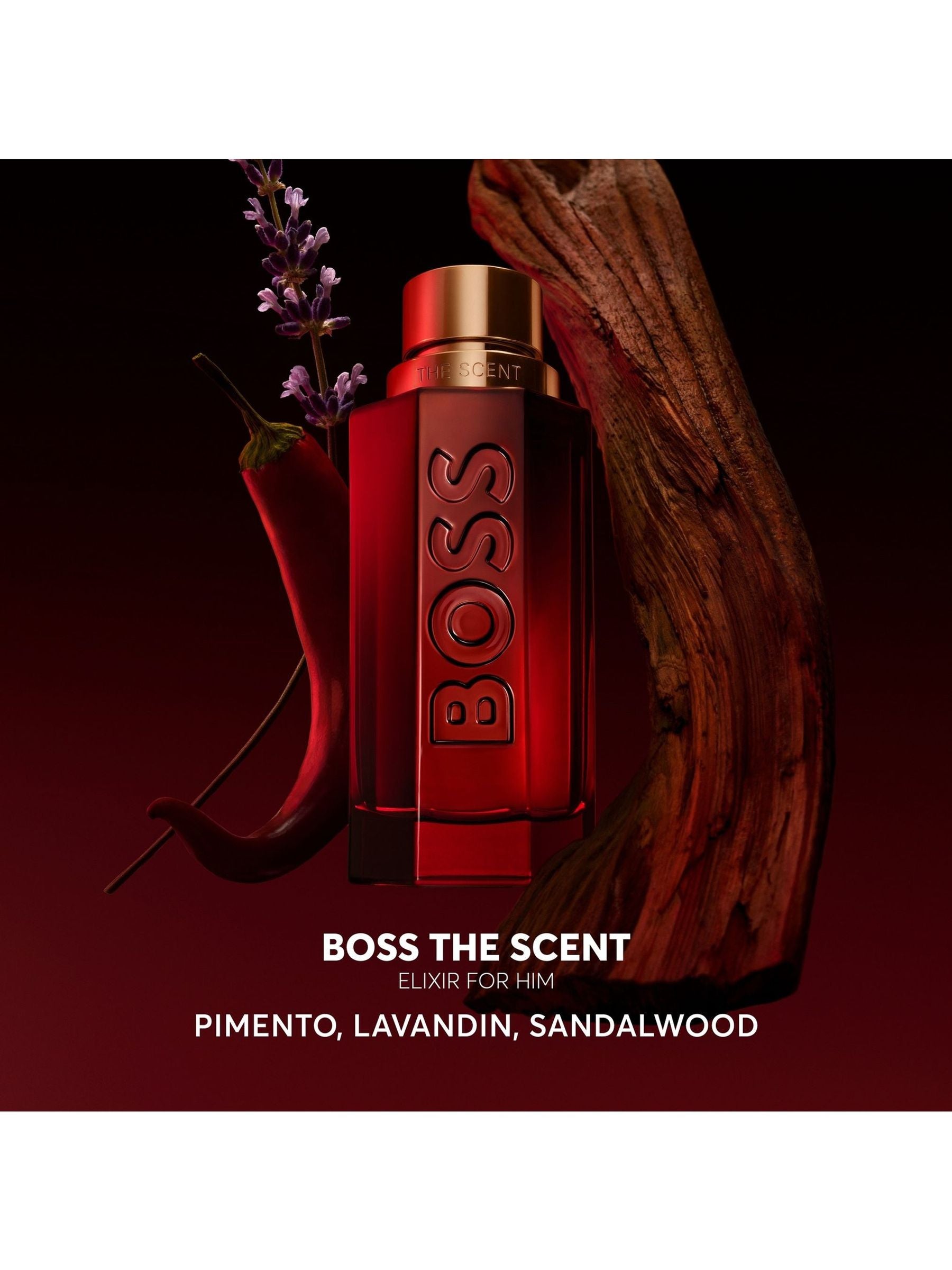BOSS The Scent Elixir Parfum Intense for Him 100ml - British product