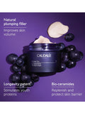 Caudalie Premier Cru The Rich Cream 50ml - British product