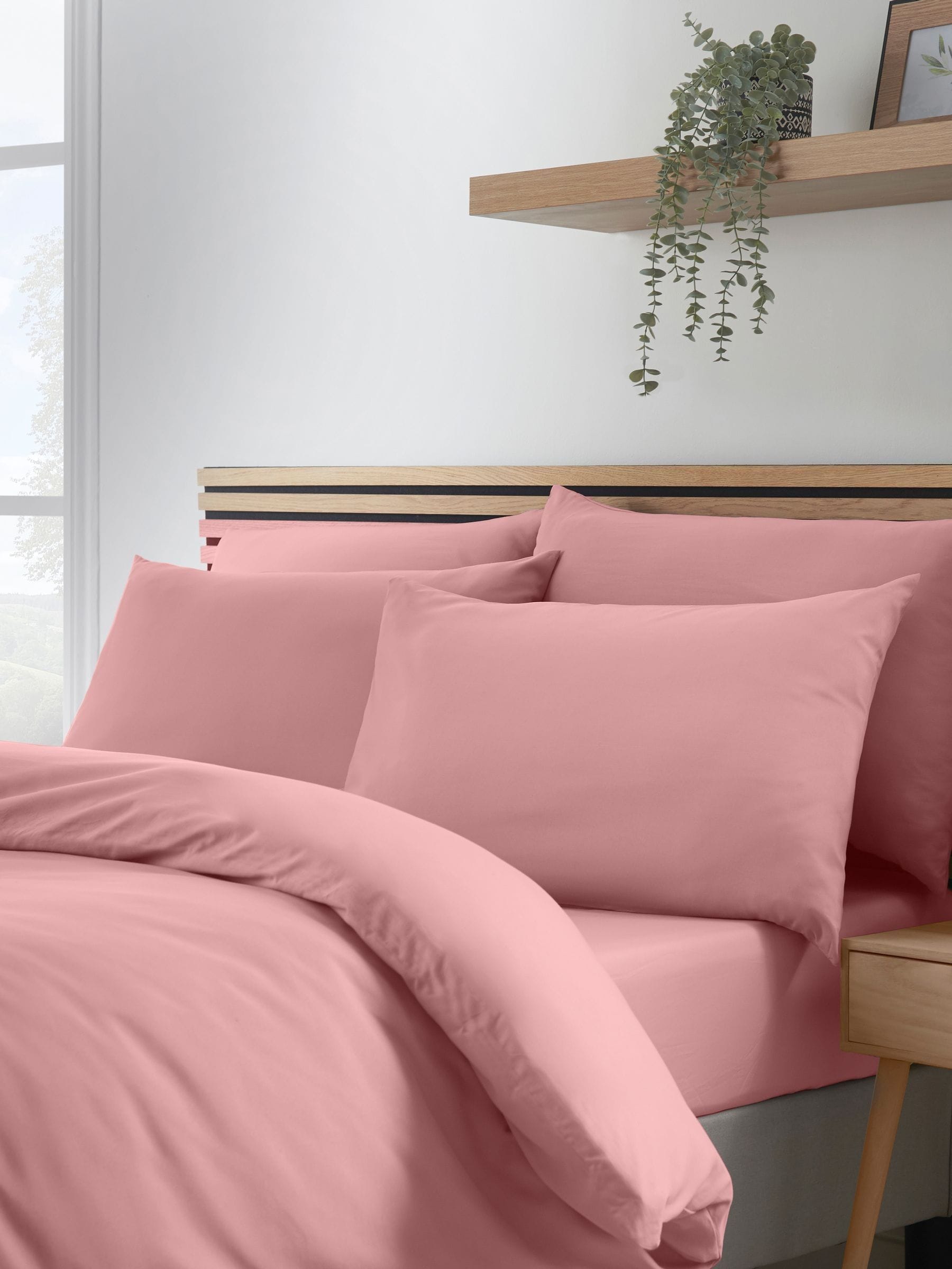 Catherine Lansfield So Soft Non-Iron White Standard Pillowcases 4 Pack