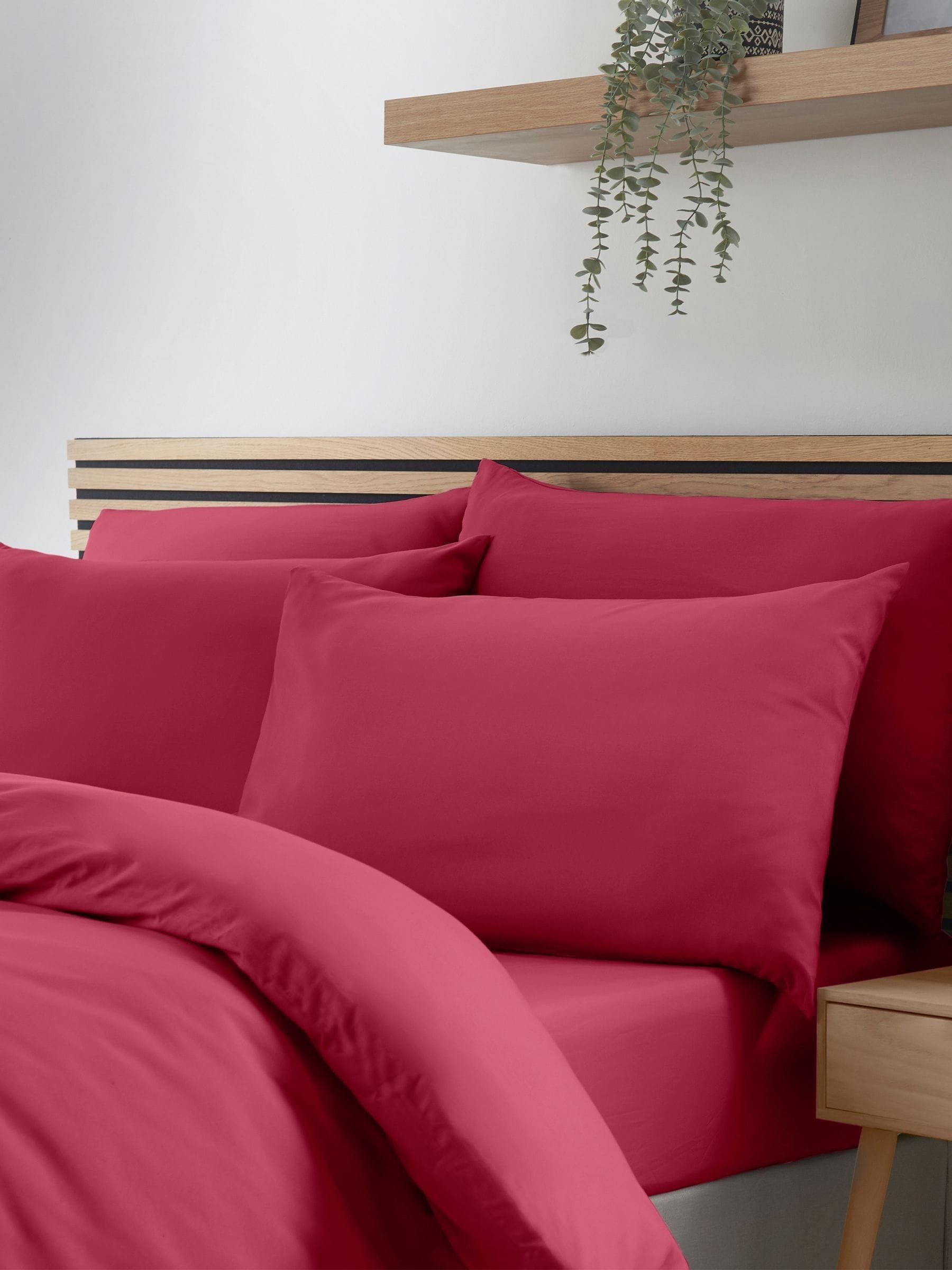Catherine Lansfield So Soft Non-Iron White Standard Pillowcases 4 Pack