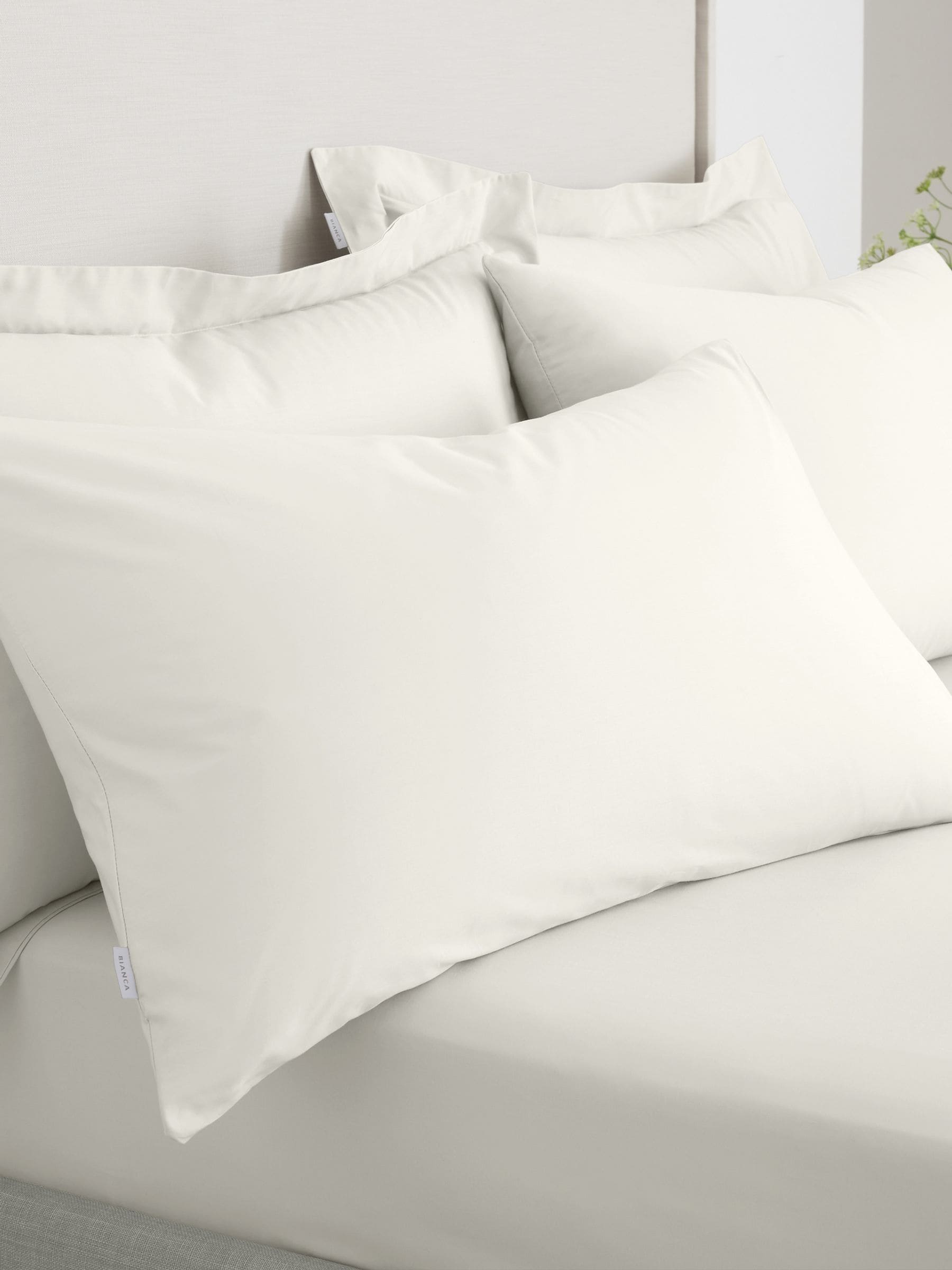 Bianca Blue 200 Thread Count 100% Cotton Pillowcase Pair