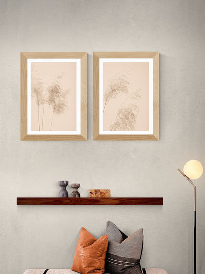 Next East End Prints Set of 2 Oak Pampas Grass Framed Art Print- Buy online at McGrocer