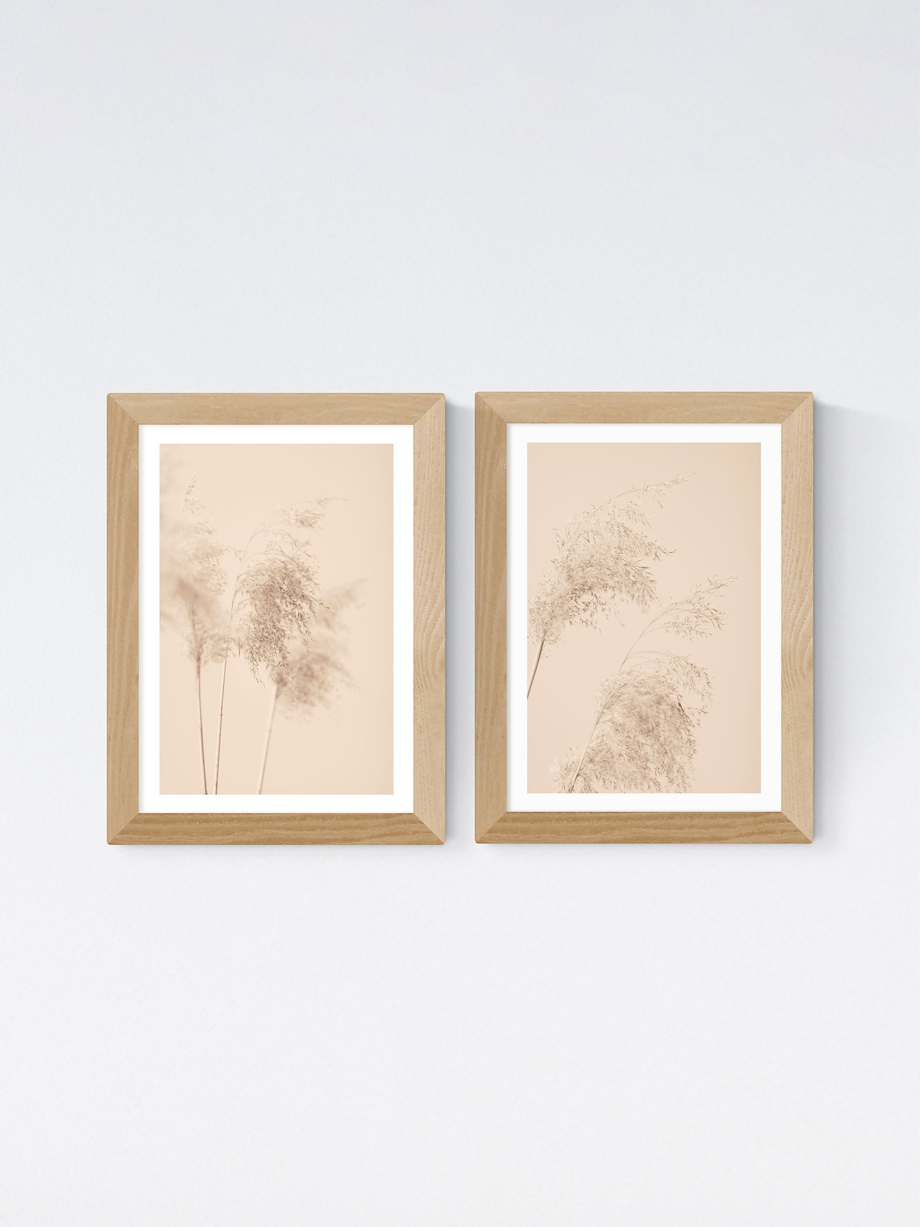 East End Prints oak pampas grass framed art print - British product