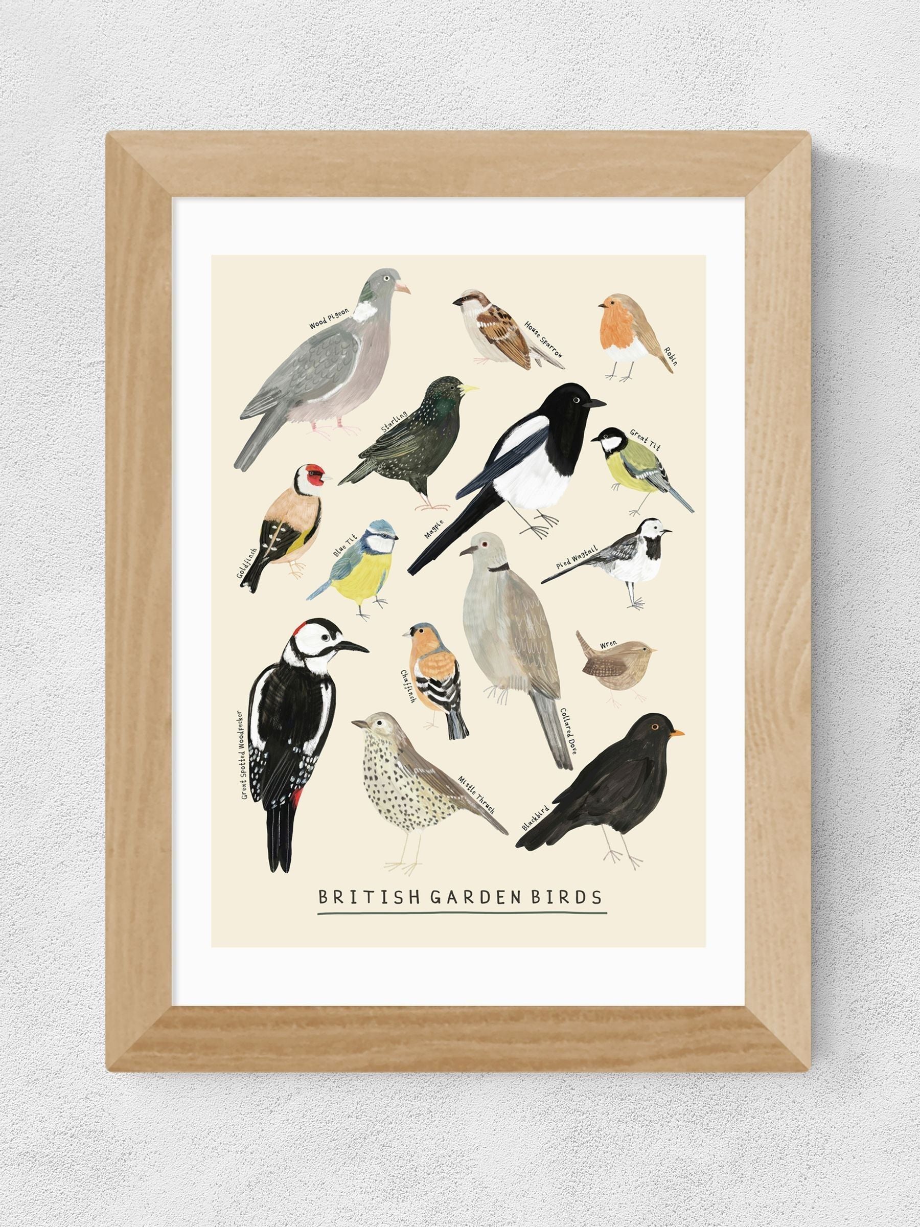 East End Prints Oak Garden Birds framed art print - British product