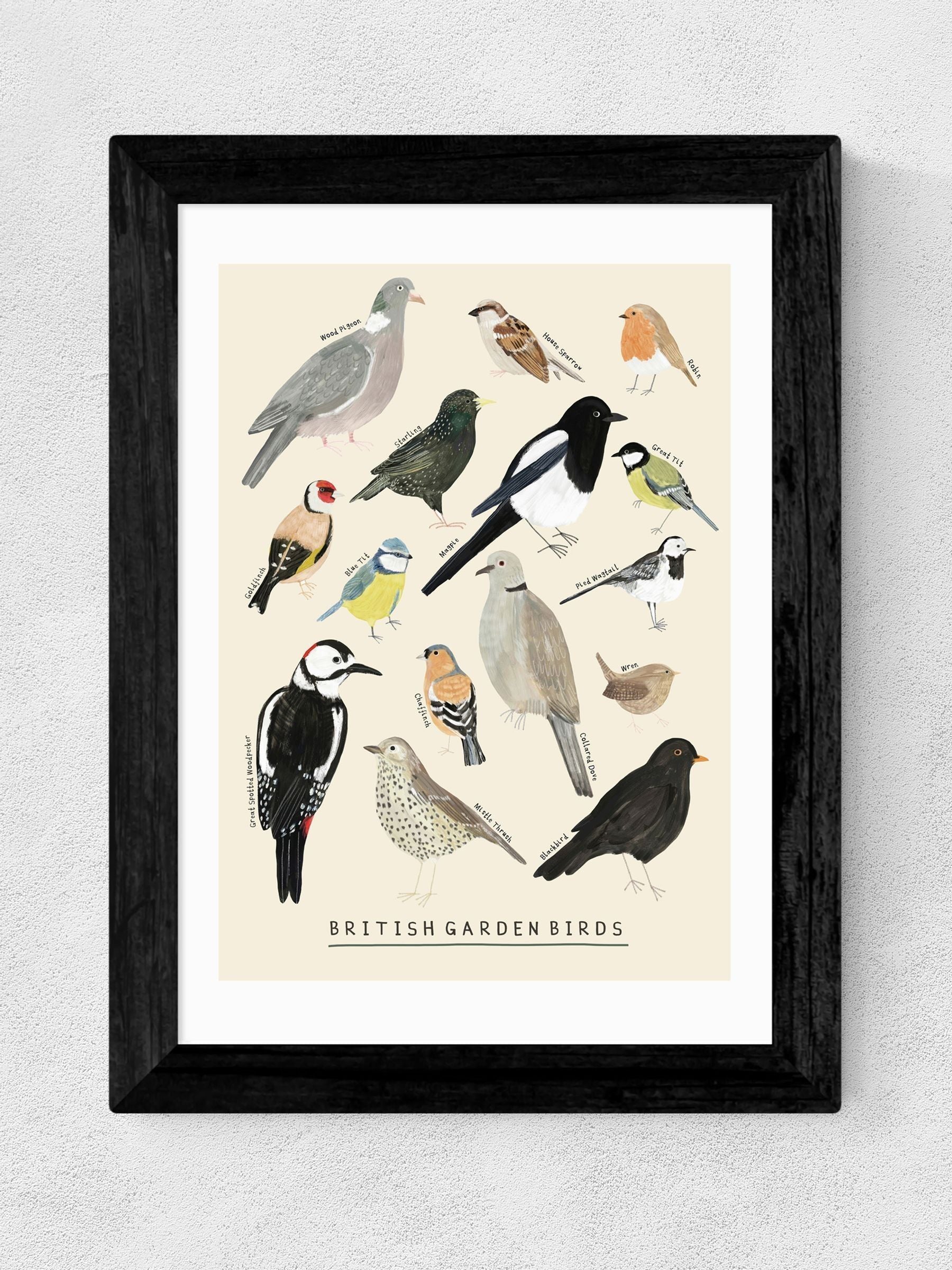 East End Prints black garden birds framed art print - British product