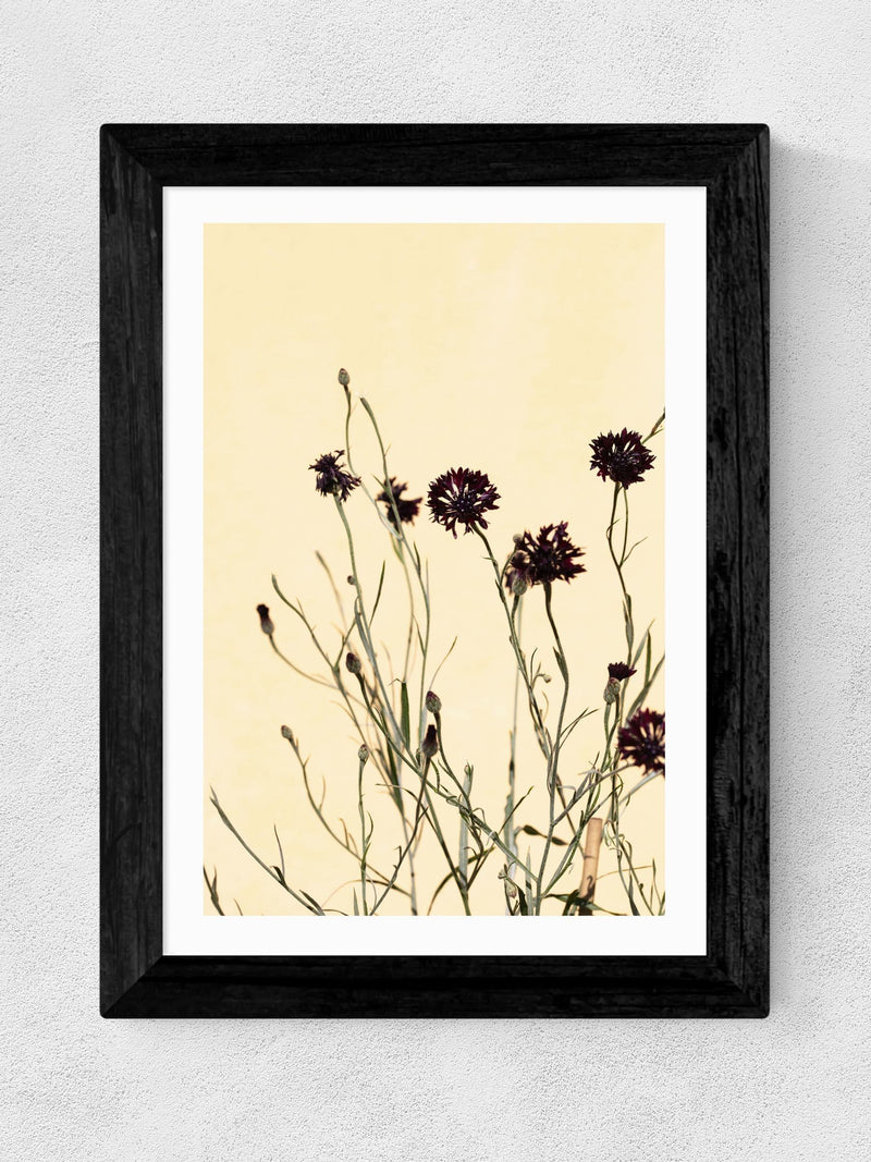 East End Prints Black Palm Leaves II Framed Art Print - British product