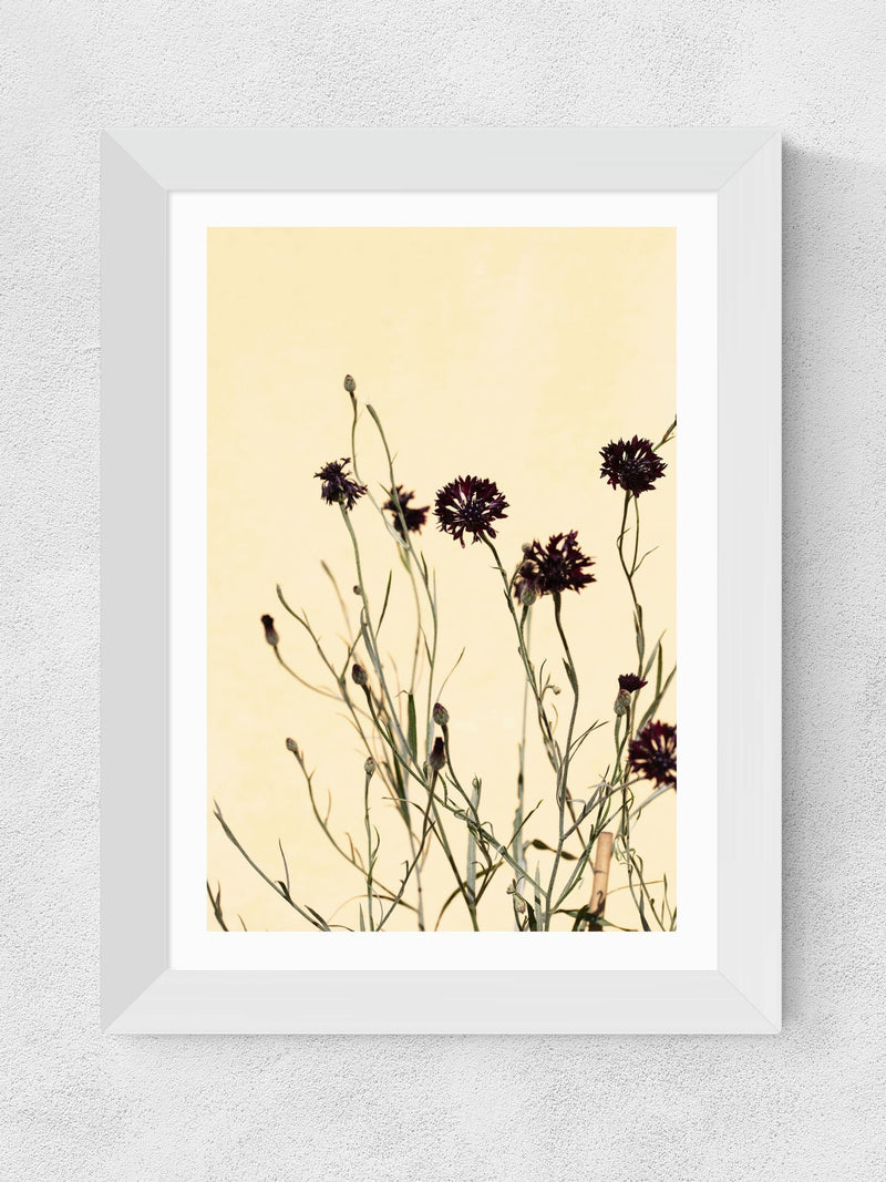 East End Prints White Palm Leaves II Framed Art Print