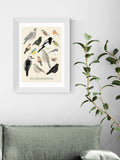 East End Prints Oak Garden Birds framed art print - British product