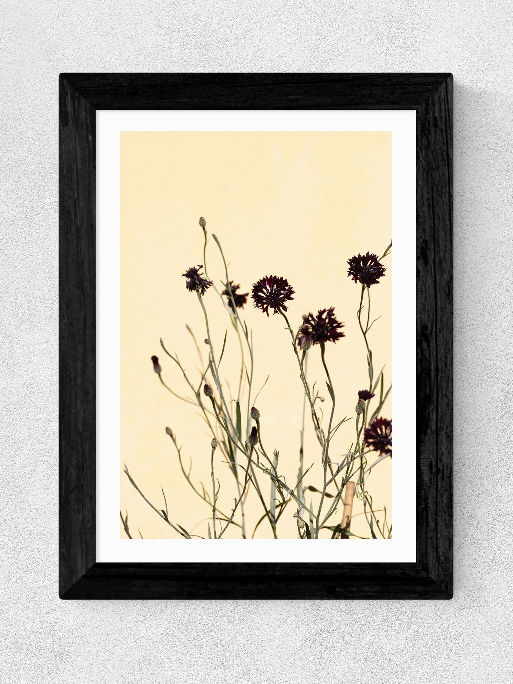East End Prints black withered flowers framed art print - British product