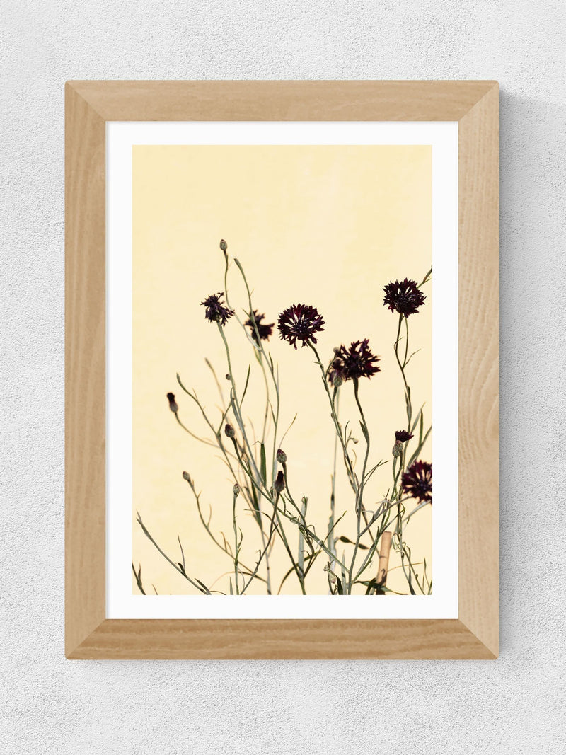 East End Prints Oak Withered Flowers Framed Art Print