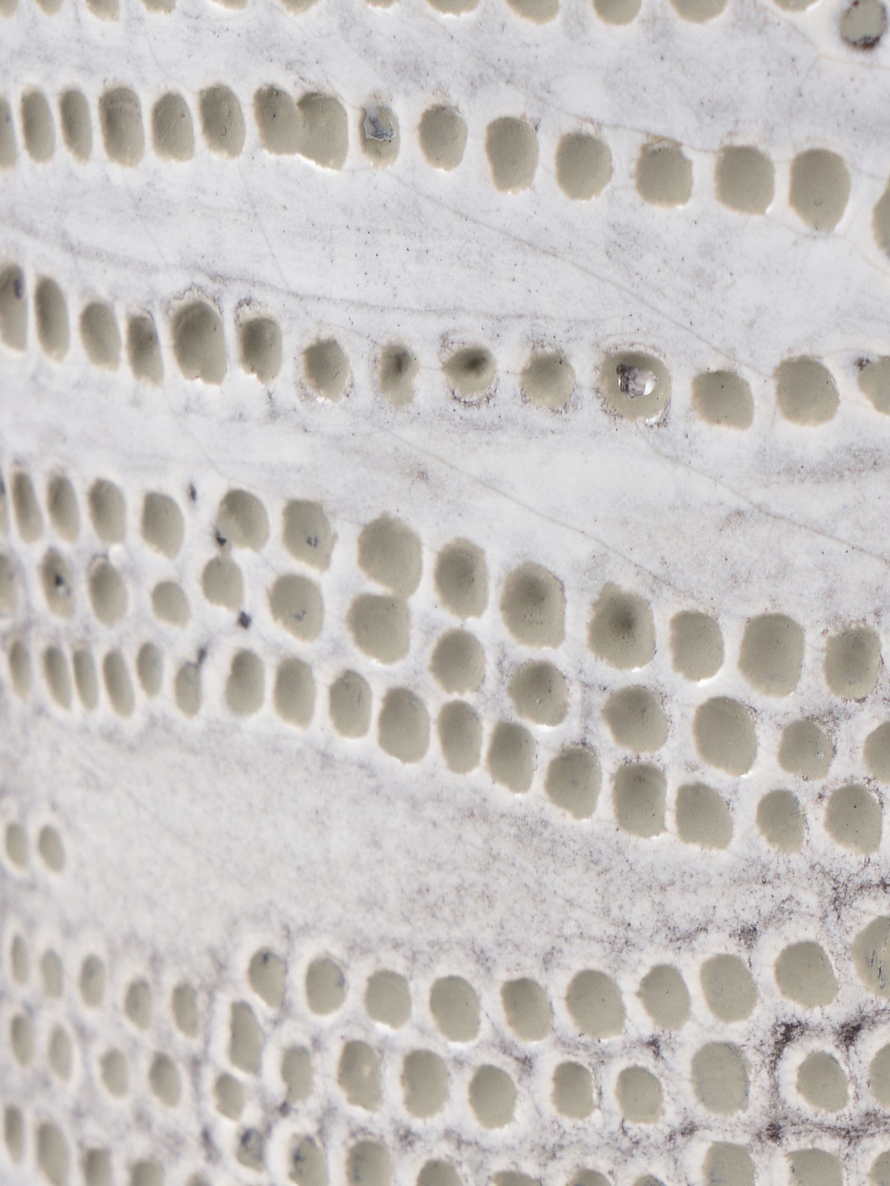 Pacific Lifestyle white stoneware dot design vase 30cm, imported from the UK