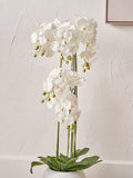 Faux Tall White Orchid in Large Ceramic Pot