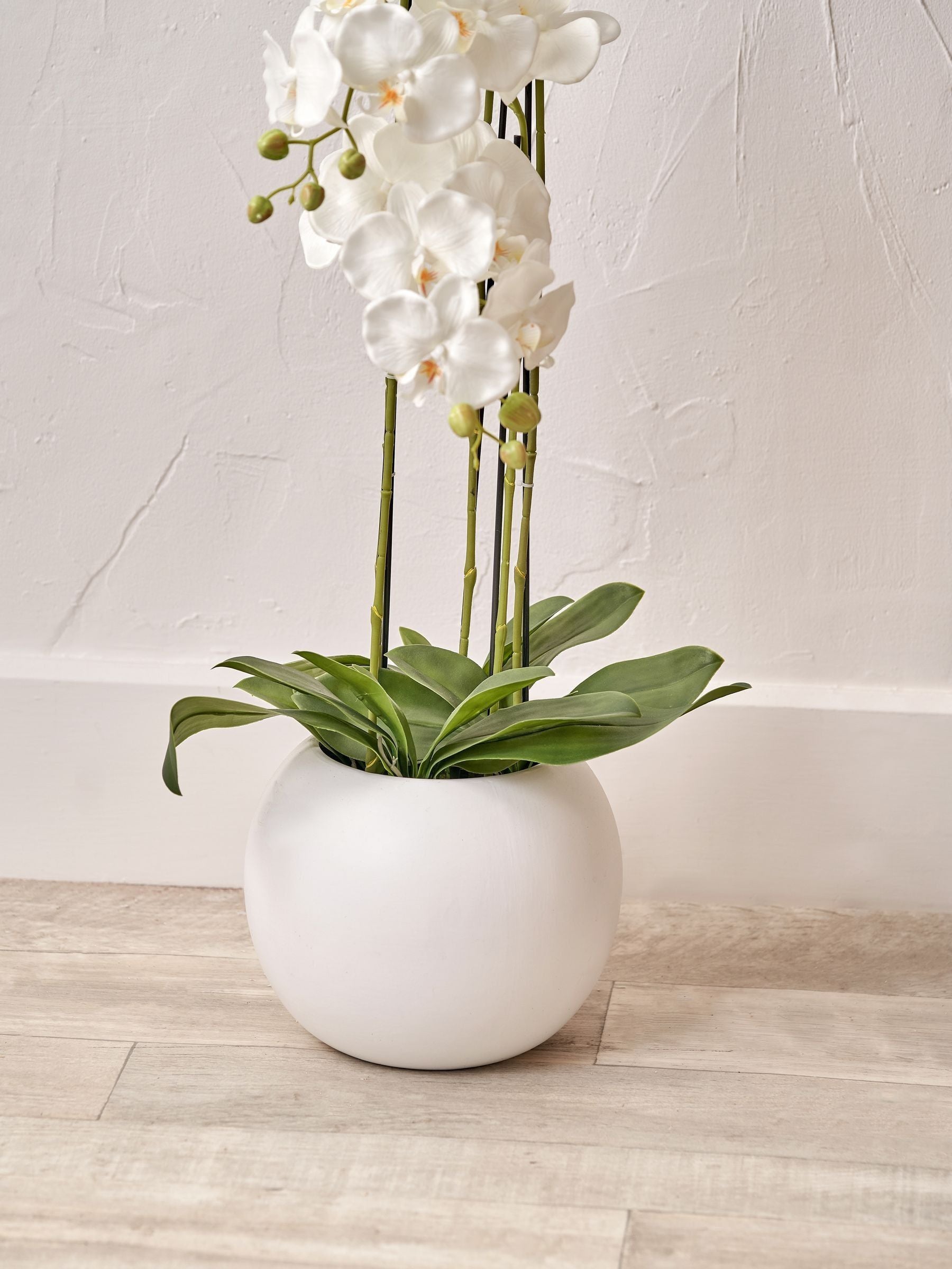 Faux Tall White Orchid in Large Ceramic Pot