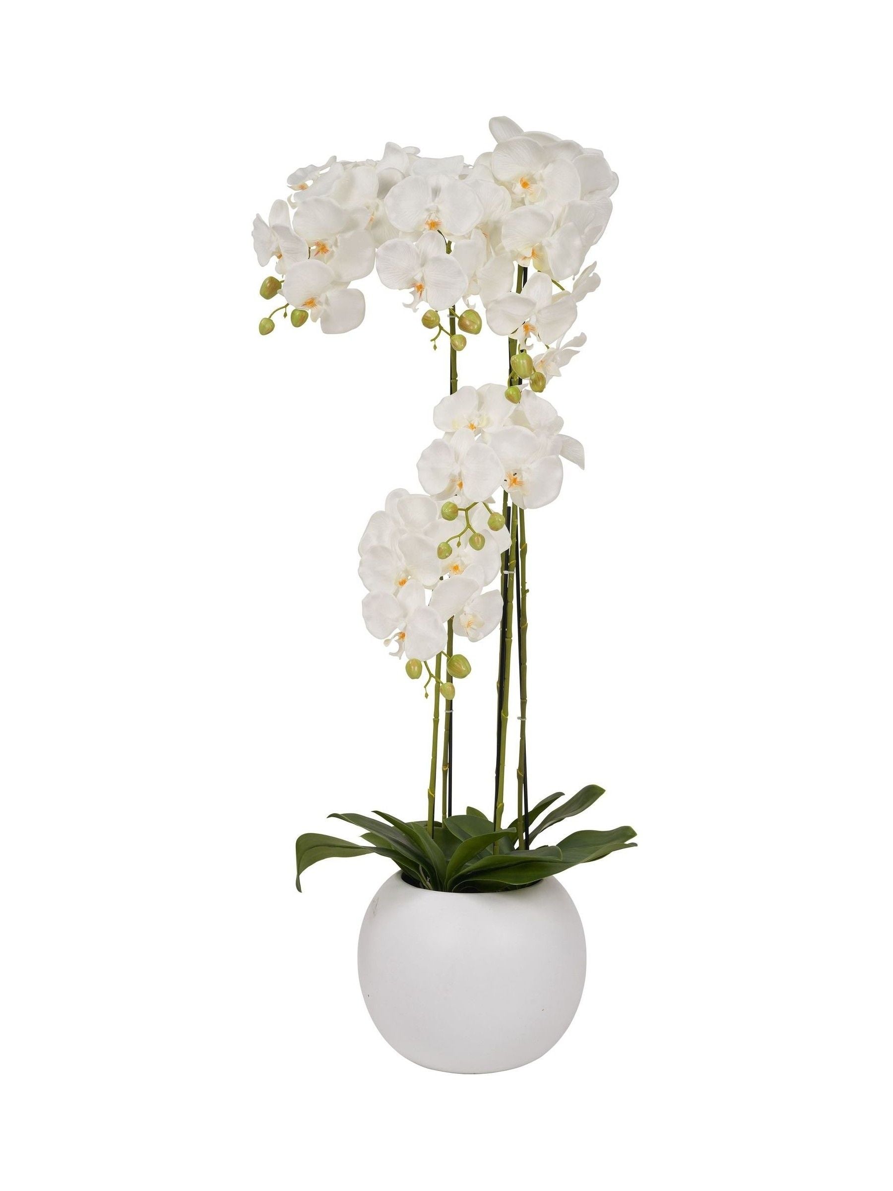 Faux Tall White Orchid in Large Ceramic Pot
