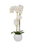 Faux Tall White Orchid in Large Ceramic Pot