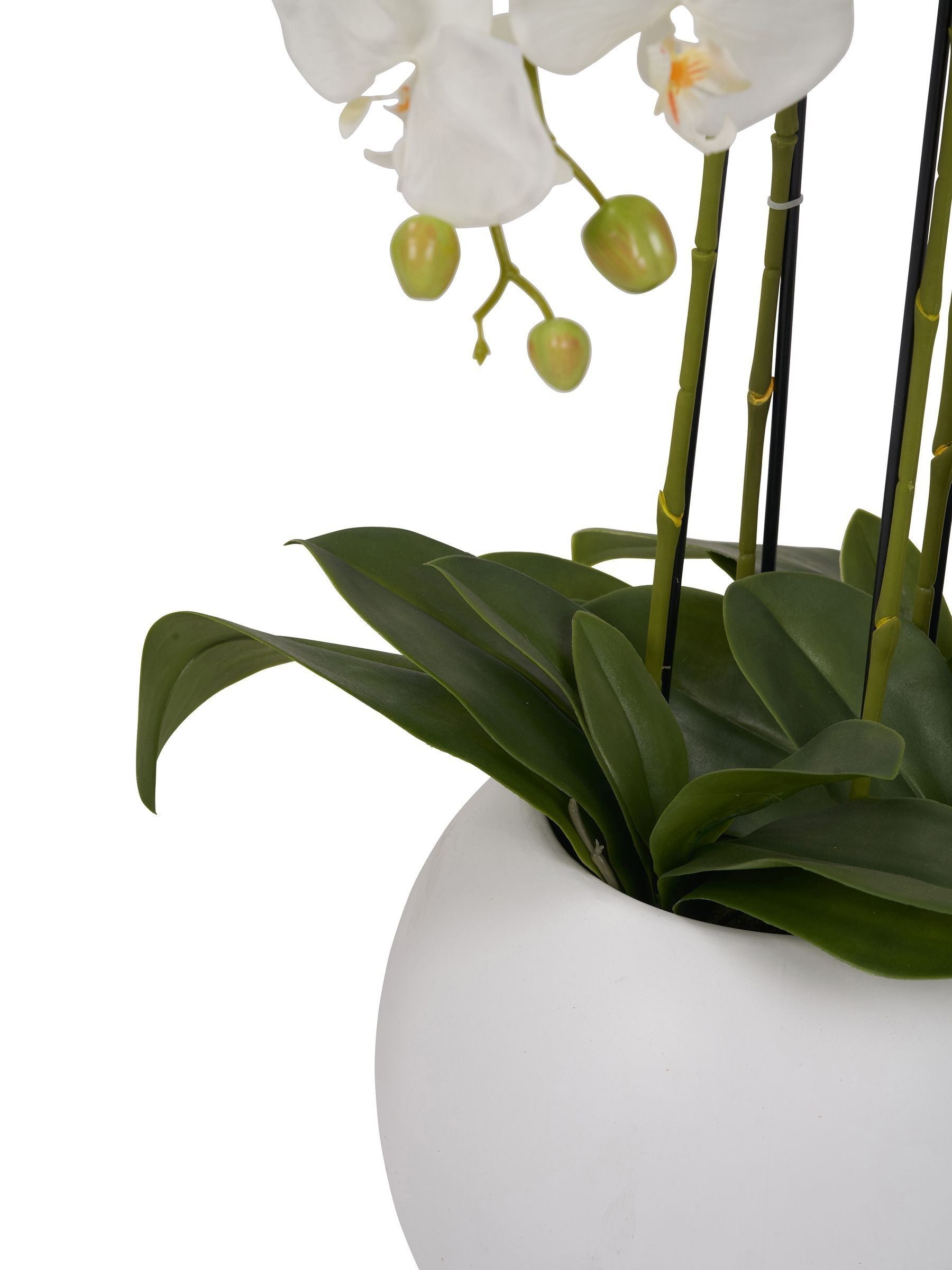Faux Tall White Orchid in Large Ceramic Pot