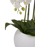 Faux Tall White Orchid in Large Ceramic Pot