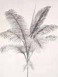 Pacific Lifestyle palm tree print canvas set with black frame 60cm x 40cm, imported from the UK